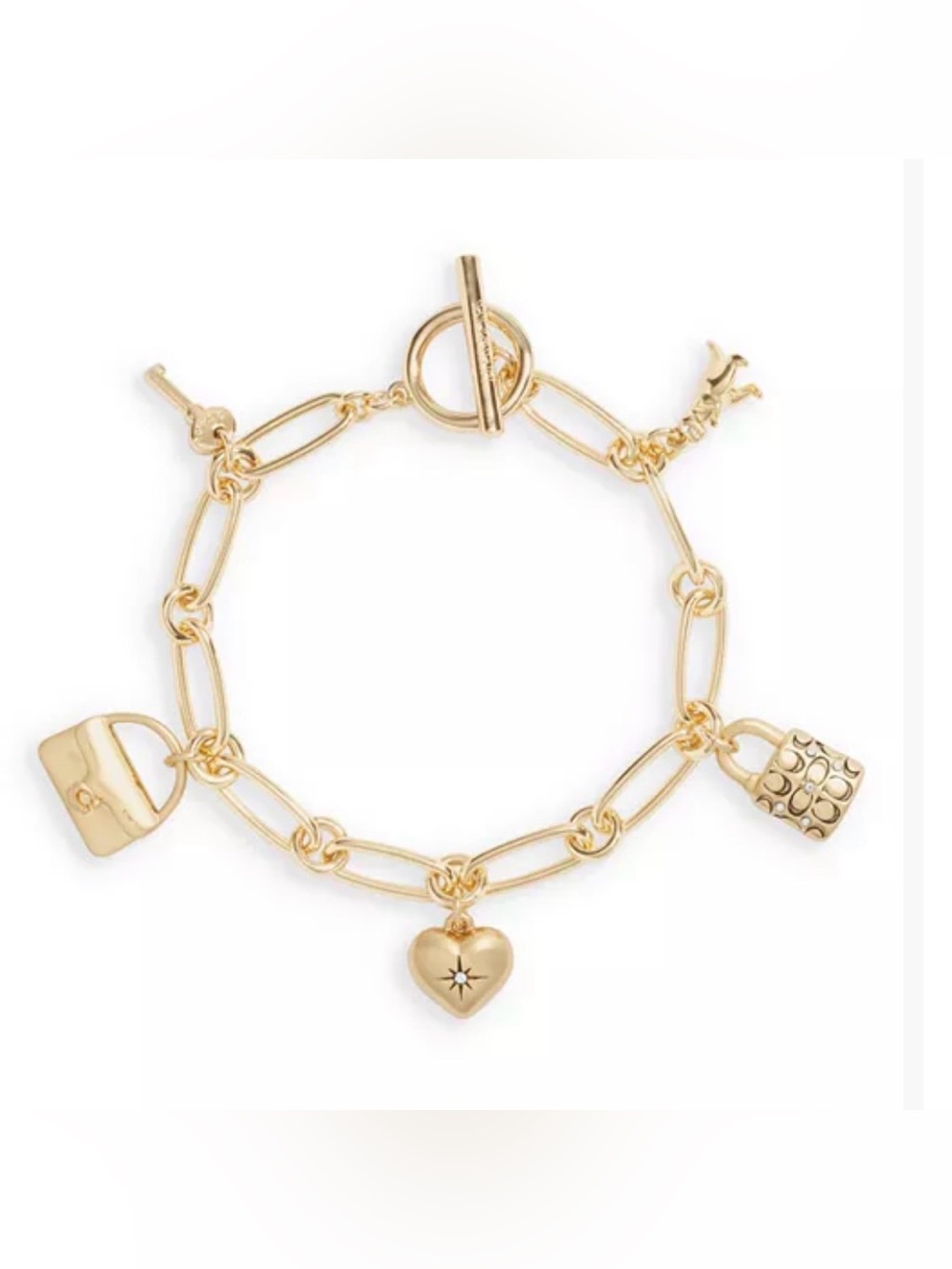 COACH
Iconic Charm Bracelet. New no tag